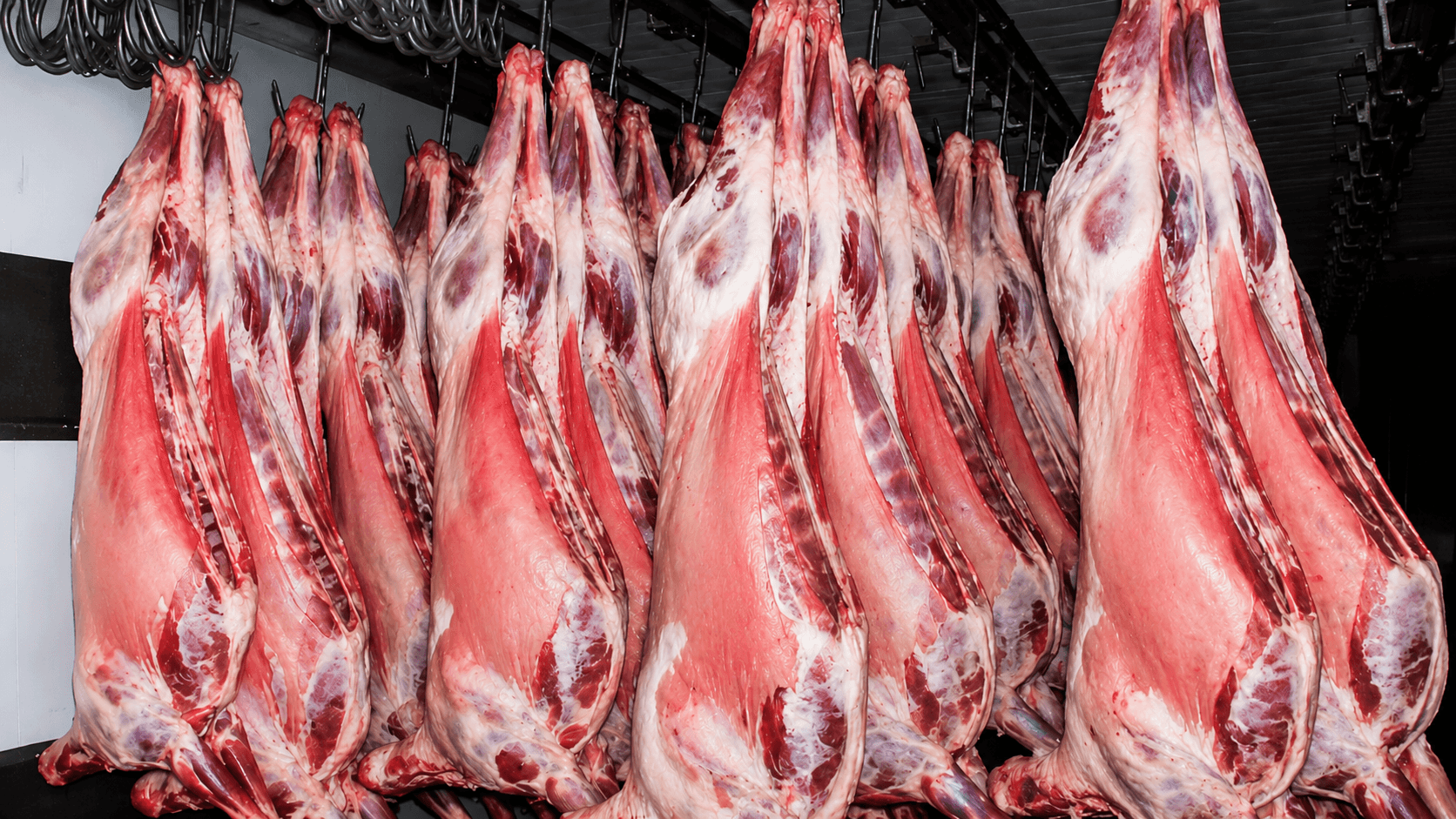 Fine cut of premium red meat
